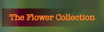The flower collection