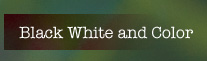 Black White and Color