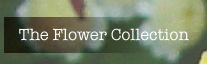The Flower Collection