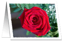Valentines Cards