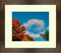 leaf peeping