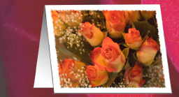 yellow rose