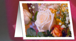 whte rose